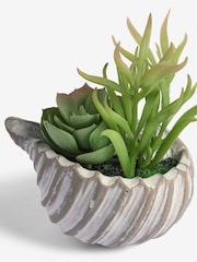 Green Artificial Succulent In A Grey Ceramic Shell - Image 2 of 3