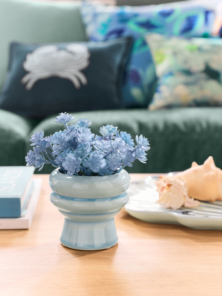 Blue Succulent Plant In Mini Ceramic Vase - Image 1 of 2