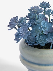 Blue Succulent Plant In Mini Ceramic Vase - Image 2 of 2