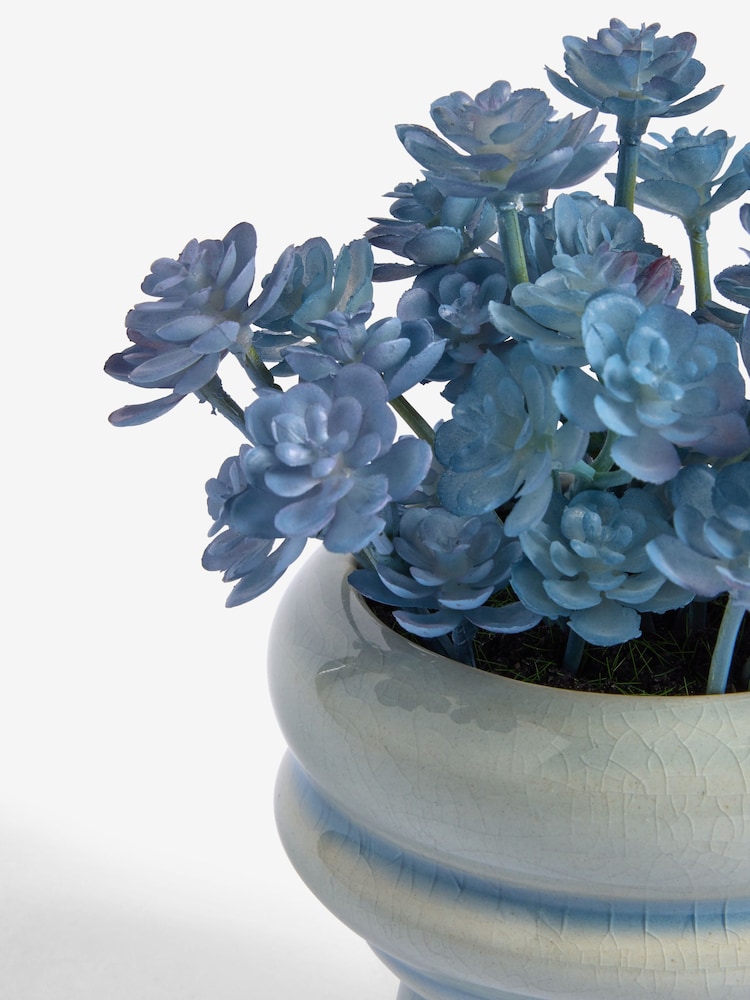 Blue Succulent Plant In Mini Ceramic Vase - Image 2 of 2