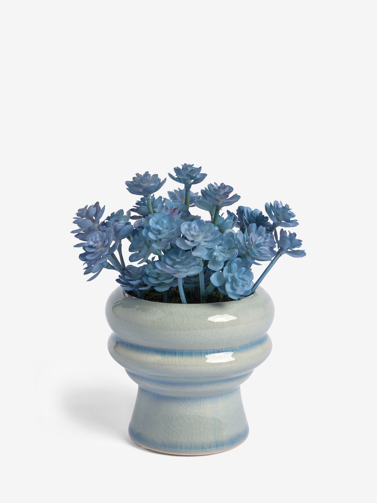 Blue Succulent Plant In Mini Ceramic Vase - Image 3 of 3