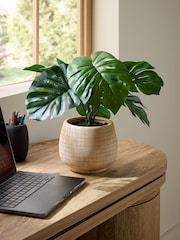 Green Artificial Monstera Plant In Natural Ceramic Vase - Image 1 of 4