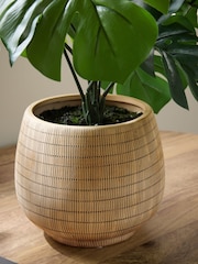 Green Artificial Monstera Plant In Natural Ceramic Vase - Image 2 of 4