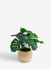 Green Artificial Monstera Plant In Natural Ceramic Vase - Image 3 of 4