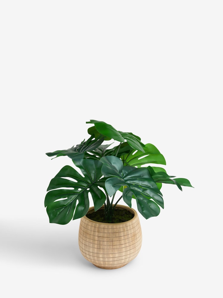 Green Artificial Monstera Plant In Natural Ceramic Vase - Image 3 of 4