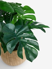 Green Artificial Monstera Plant In Natural Ceramic Vase - Image 4 of 4