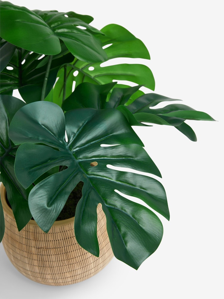 Green Artificial Monstera Plant In Natural Ceramic Vase - Image 4 of 4