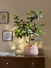 Green Artificial Tree in Terracotta Pot - Image 1 of 3