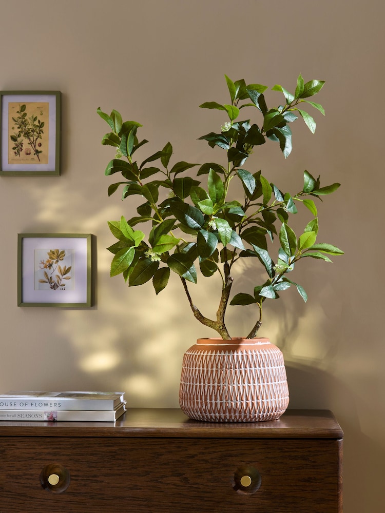 Green Artificial Tree in Terracotta Pot - Image 1 of 3