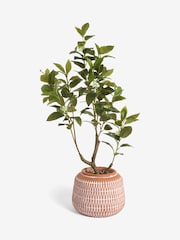 Green Artificial Tree in Terracotta Pot - Image 3 of 3