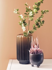 Interiors by Premier Grey Fiori Mixed Succulents - Image 3 of 6