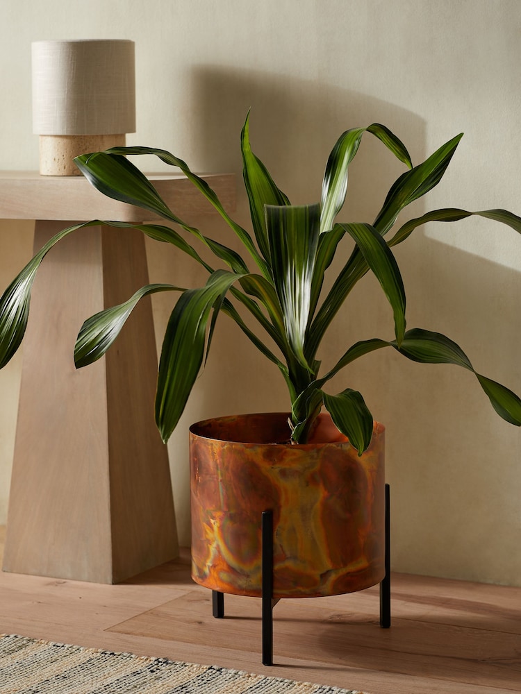 French Connection Copper Medium Patina Metal Stand Plant Pot - Image 1 of 4 French Connection Copper Medium Patina Metal Stand Plant Pot - Image 1 of 4
