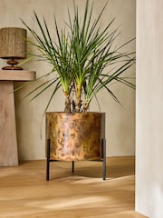 French Connection Black/Bronze Patina Metal Stand Plant Pot - Image 1 of 4