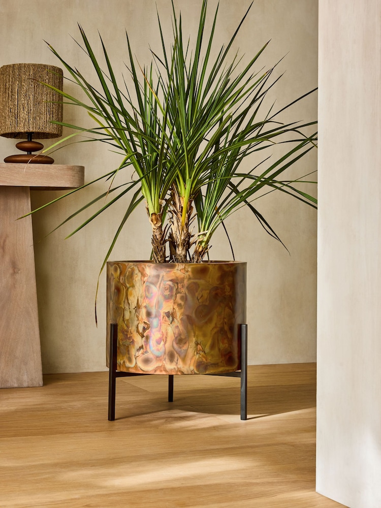 French Connection Black/Bronze Patina Metal Stand Plant Pot - Image 1 of 4 French Connection Black/Bronze Patina Metal Stand Plant Pot - Image 1 of 4