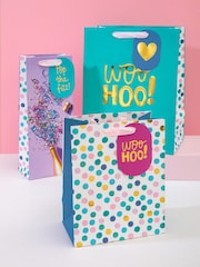 Hallmark Multi 3 Celebratory Designs Gift Bags Set of 3 - Image 1 of 4
