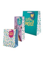 Hallmark Multi 3 Celebratory Designs Gift Bags Set of 3 - Image 2 of 4