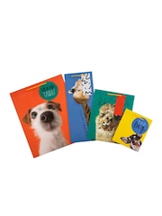 Hallmark Multi 4 Funny Animal Designs Gift Bags Set of 4 - Image 4 of 4
