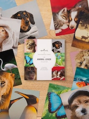 Hallmark 20 Pack Multi Cute Animal Design Blank Cards - Image 1 of 4