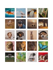 Hallmark 20 Pack Multi Cute Animal Design Blank Cards - Image 3 of 4