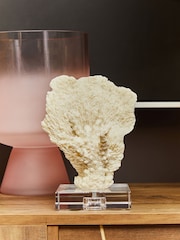Interiors by Premier Pink Baila Matte Glass Vase - Image 2 of 6
