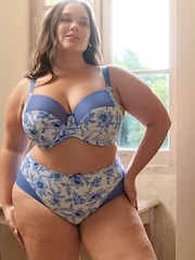 Panache Blue Bliss Full Cup Bra - Image 1 of 4