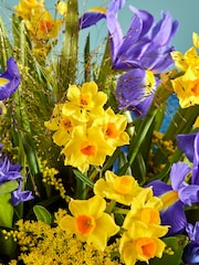 Blue/Yellow Hyacinth and Iris Fresh Flower Bouquet in Gift Bag - Image 2 of 5