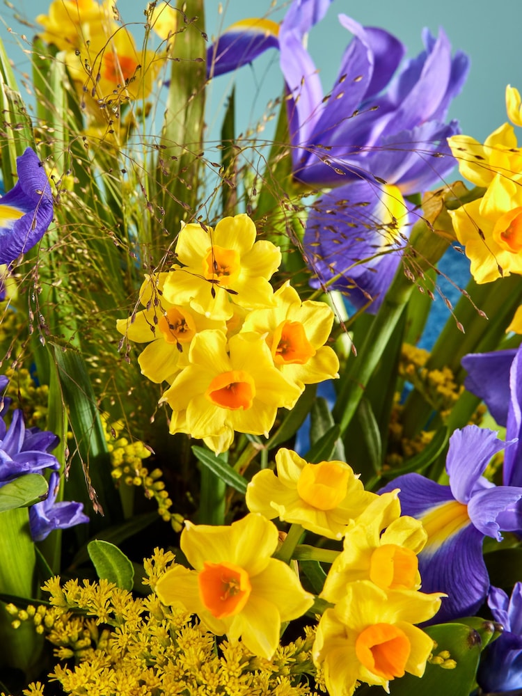 Blue/Yellow Hyacinth and Iris Fresh Flower Bouquet in Gift Bag - Image 2 of 5