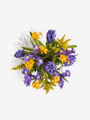 Blue/Yellow Hyacinth and Iris Fresh Flower Bouquet in Gift Bag - Image 5 of 5