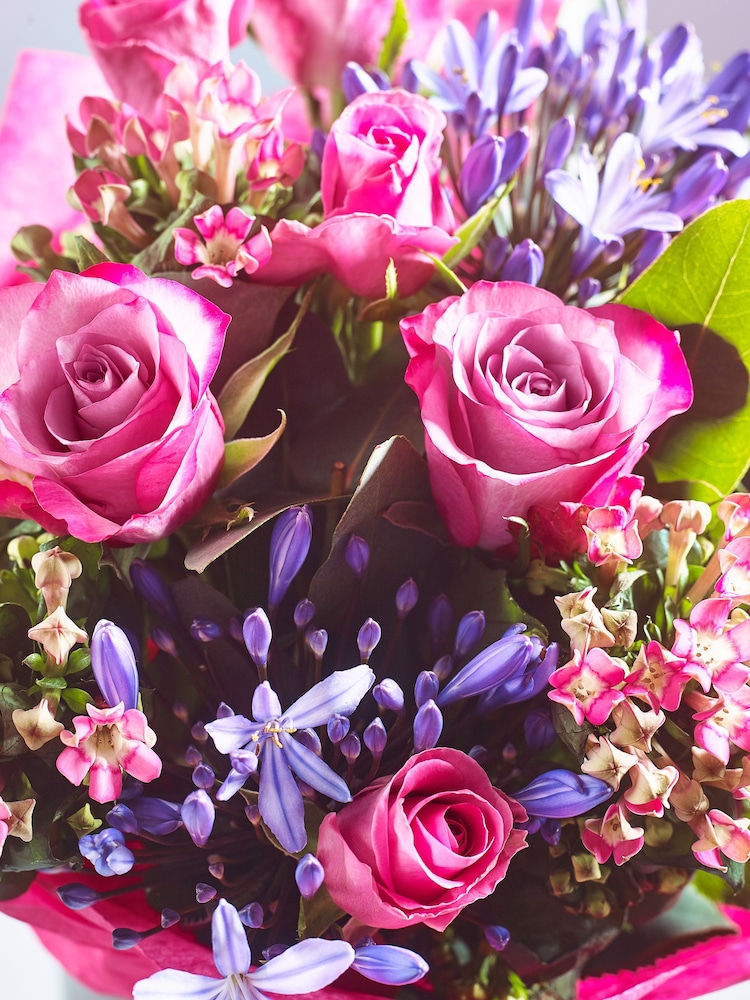 Lipsy Pink Rose and Agapanthus Fresh Flower Bouquet in Gift Bag - Image 2 of 5