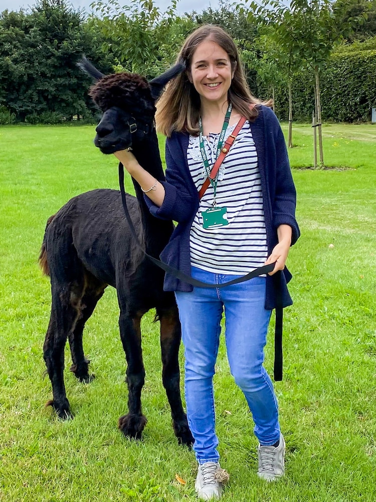 AS Family Meet Greet With The Alpacas Gift Experience - Image 1 of 3