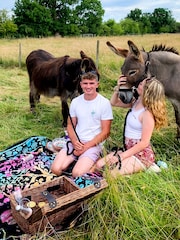 AS Donkey Picnic For Four at Dashing Donkeys Gift Experience - Image 1 of 3