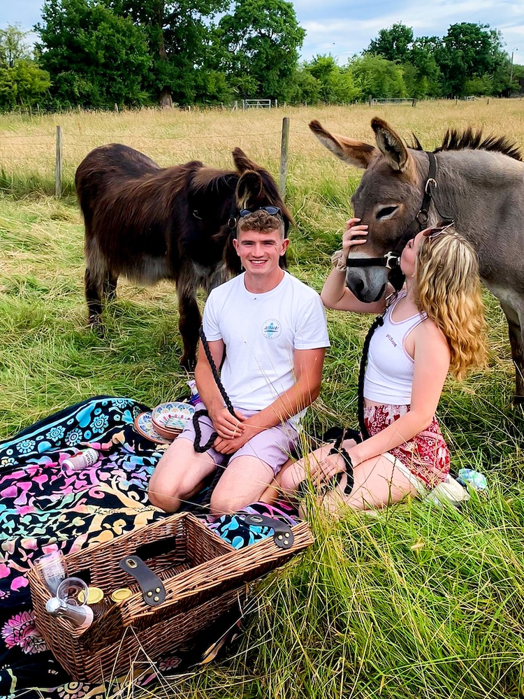 AS Donkey Picnic For Four at Dashing Donkeys Gift Experience - Image 1 of 3