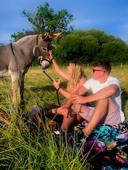 AS Donkey Picnic For Four at Dashing Donkeys Gift Experience - Image 2 of 3
