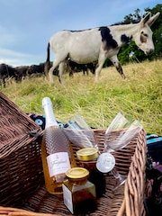 AS Donkey Picnic For Four at Dashing Donkeys Gift Experience - Image 3 of 3