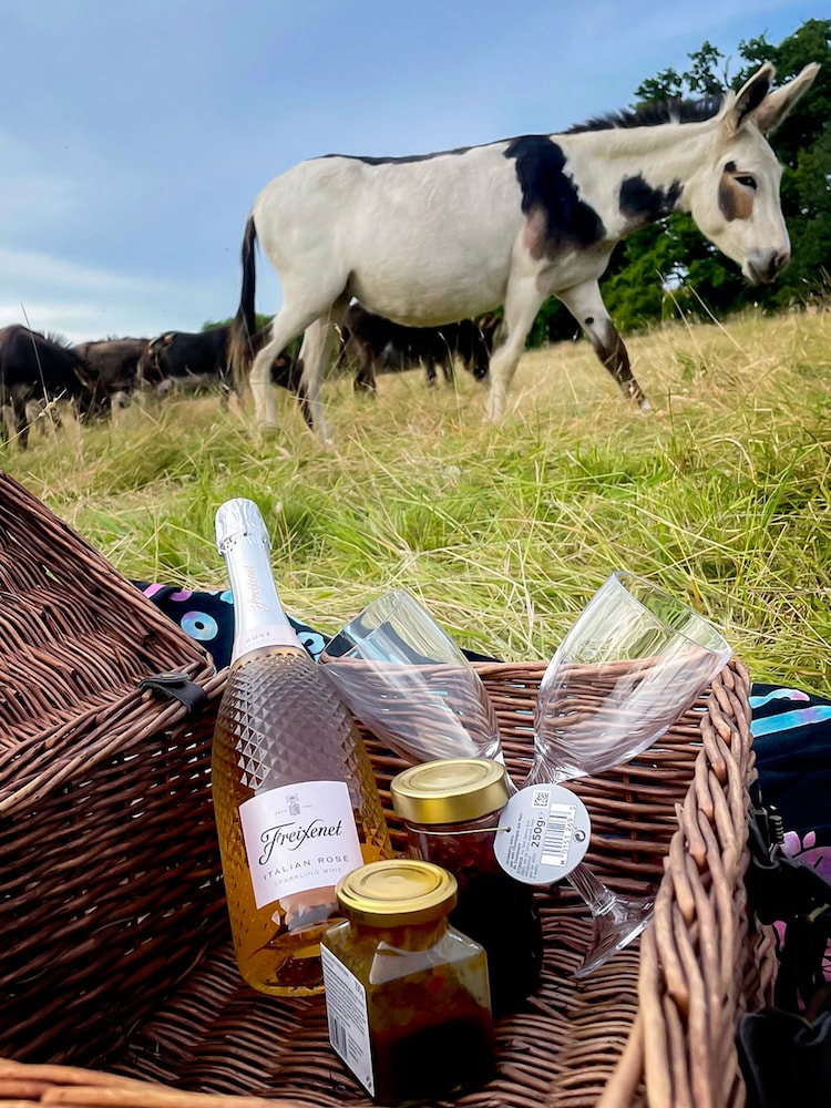 AS Donkey Picnic For Four at Dashing Donkeys Gift Experience - Image 3 of 3