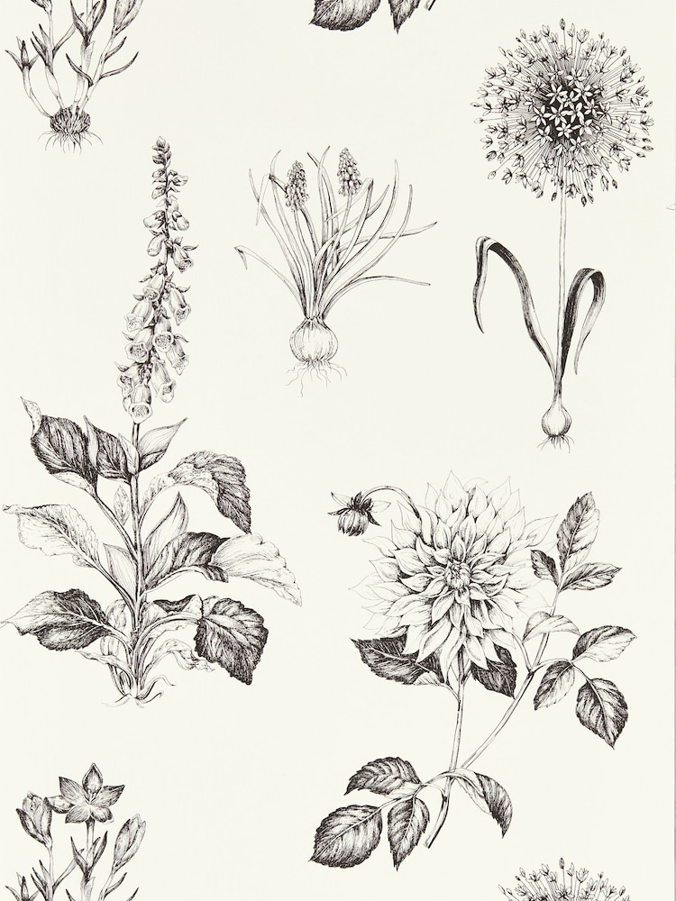 Clarke and Clarke Charcoal Roseraie Wallpaper Sample - Image 1 of 1