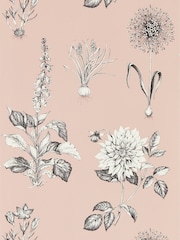 Clarke and Clarke Blush Roseraie Wallpaper Sample - Image 1 of 1