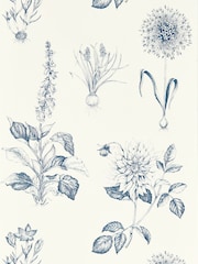 Clarke and Clarke Midnight Roseraie Wallpaper Sample - Image 1 of 1