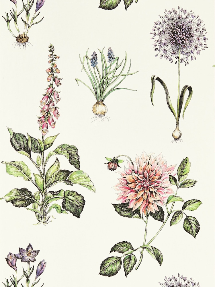 Clarke and Clarke Summer Roseraie Wallpaper Sample - Image 1 of 1