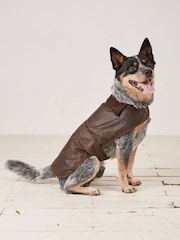 FatFace Brown Sussex Dog Coat - Image 1 of 5