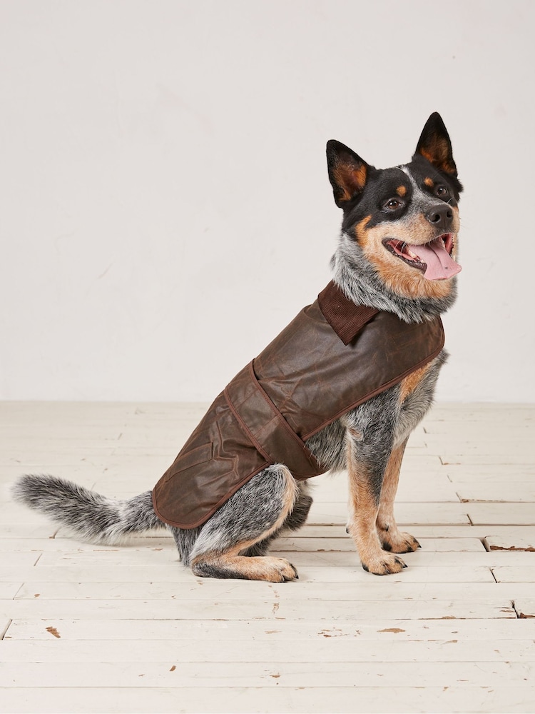 FatFace Brown Sussex Dog Coat - Image 1 of 5