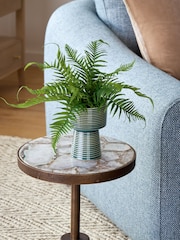 Green Artificial Fern in Ribbed Glaze Pot - Image 1 of 4