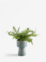 Green Artificial Fern in Ribbed Glaze Pot - Image 3 of 4