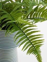 Green Artificial Fern in Ribbed Glaze Pot - Image 4 of 4