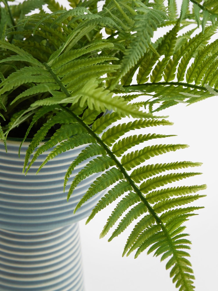 Green Artificial Fern in Ribbed Glaze Pot - Image 4 of 4