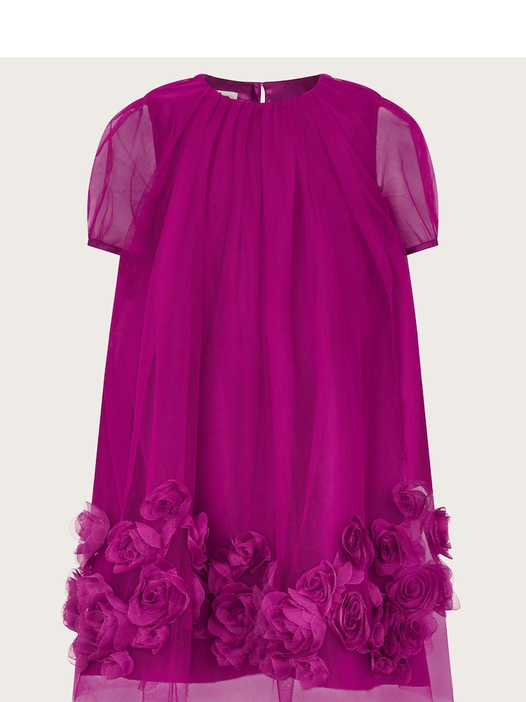 Monsoon A-Linien-Kleid mit 3D-Rosendesign - Bild 1 von 3 Monsoon A-Linien-Kleid mit 3D-Rosendesign - Bild 1 von 3
