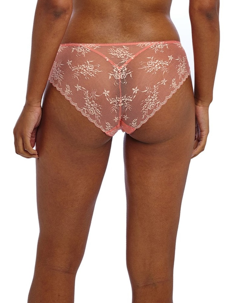 Freya Orange Offbeat Decadence 100% Cotton Briefs - Image 2 of 4