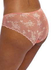 Freya Orange Offbeat Decadence 100% Cotton Briefs - Image 3 of 4