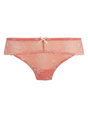 Freya Orange Offbeat Decadence 100% Cotton Briefs - Image 4 of 4