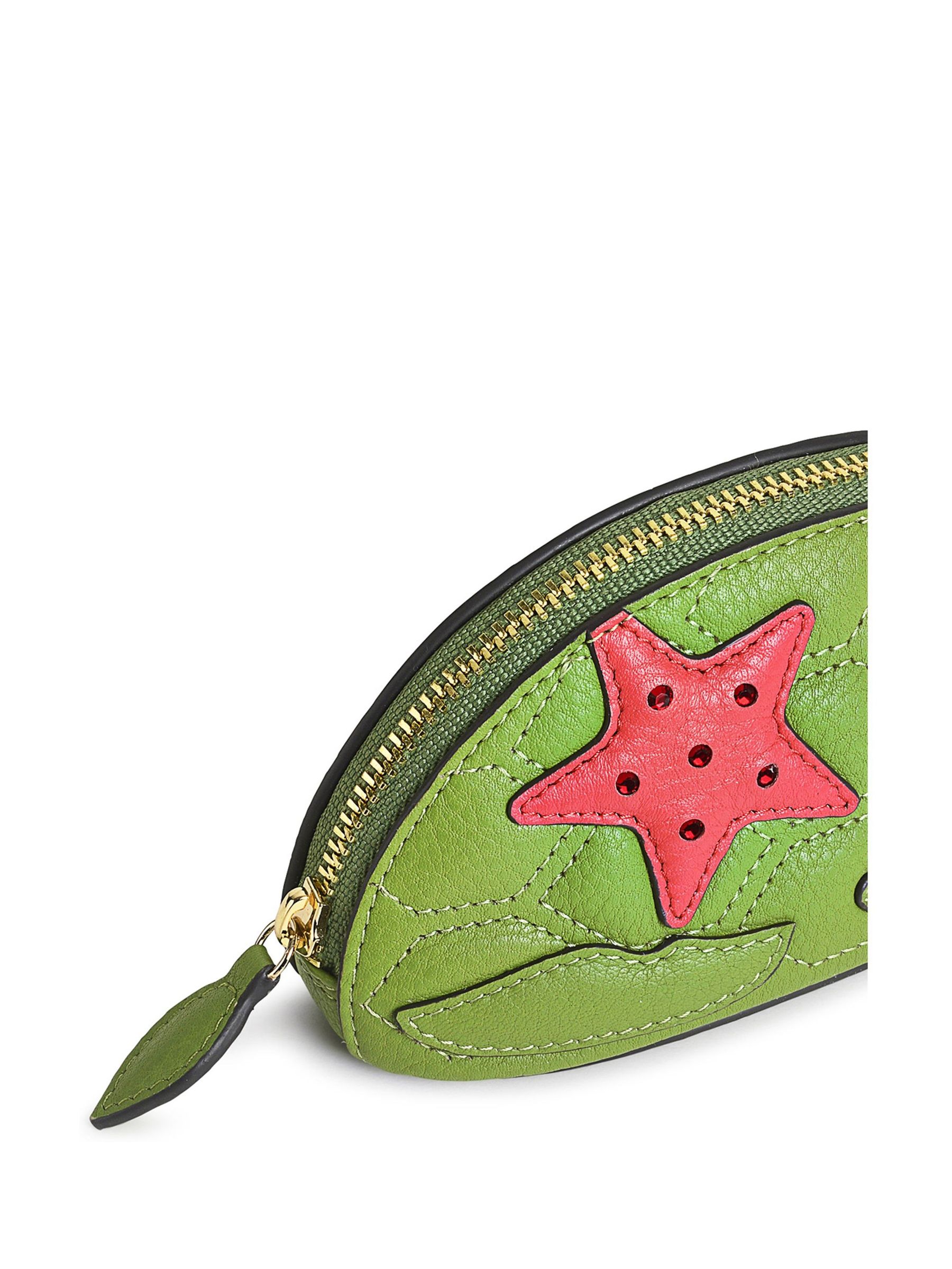 Buy Radley London Green Sea Turtle Small Coin Purse from Next Canada